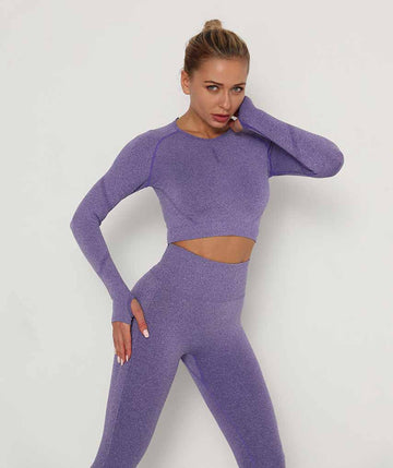 Motion Long Sleeve Crop Top