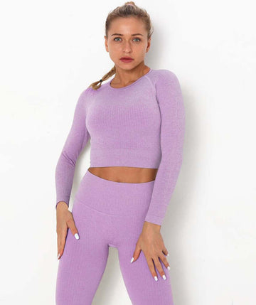 Achieve Long Sleeve Crop Top